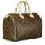 Le borse che tutte vogliono La Speedy di Louis Vuitton